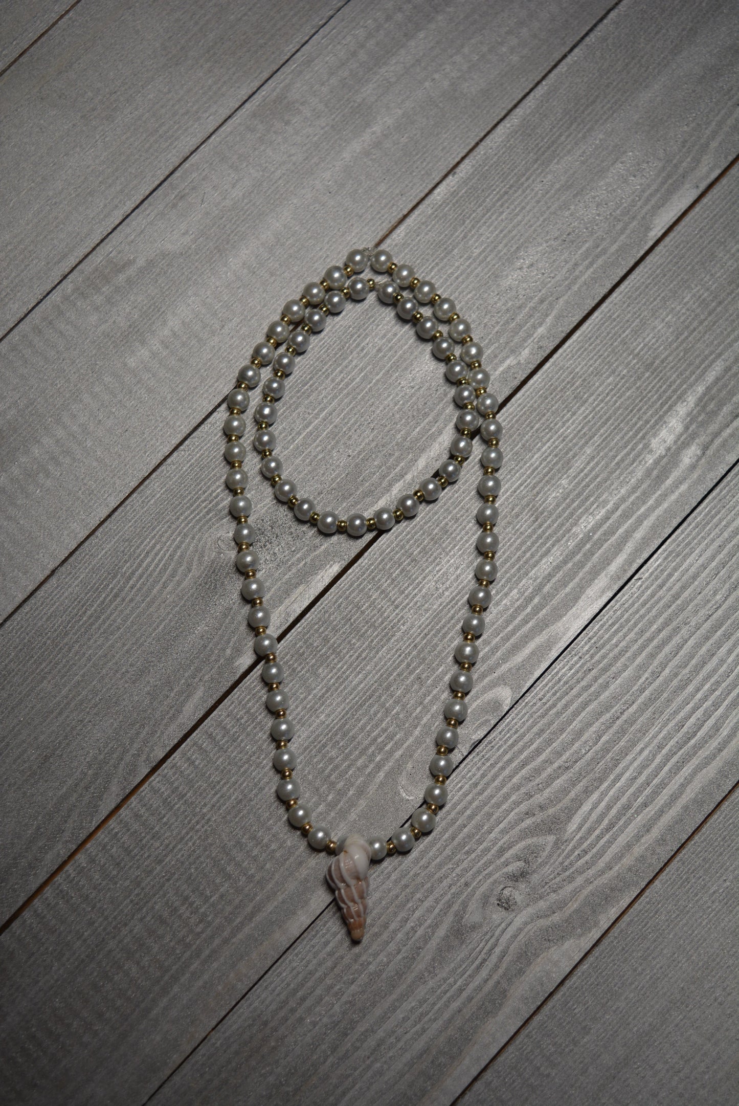 Wentletrap Collection