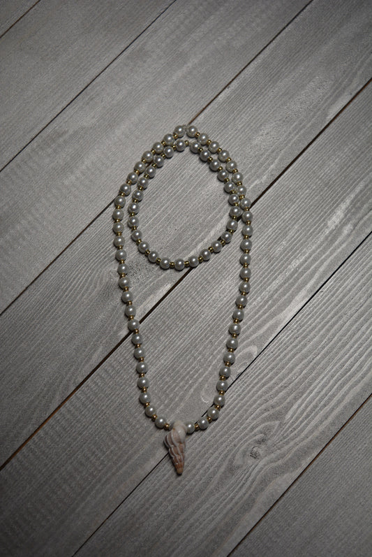 Wentletrap Collection