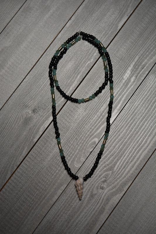 Wentletrap Collection