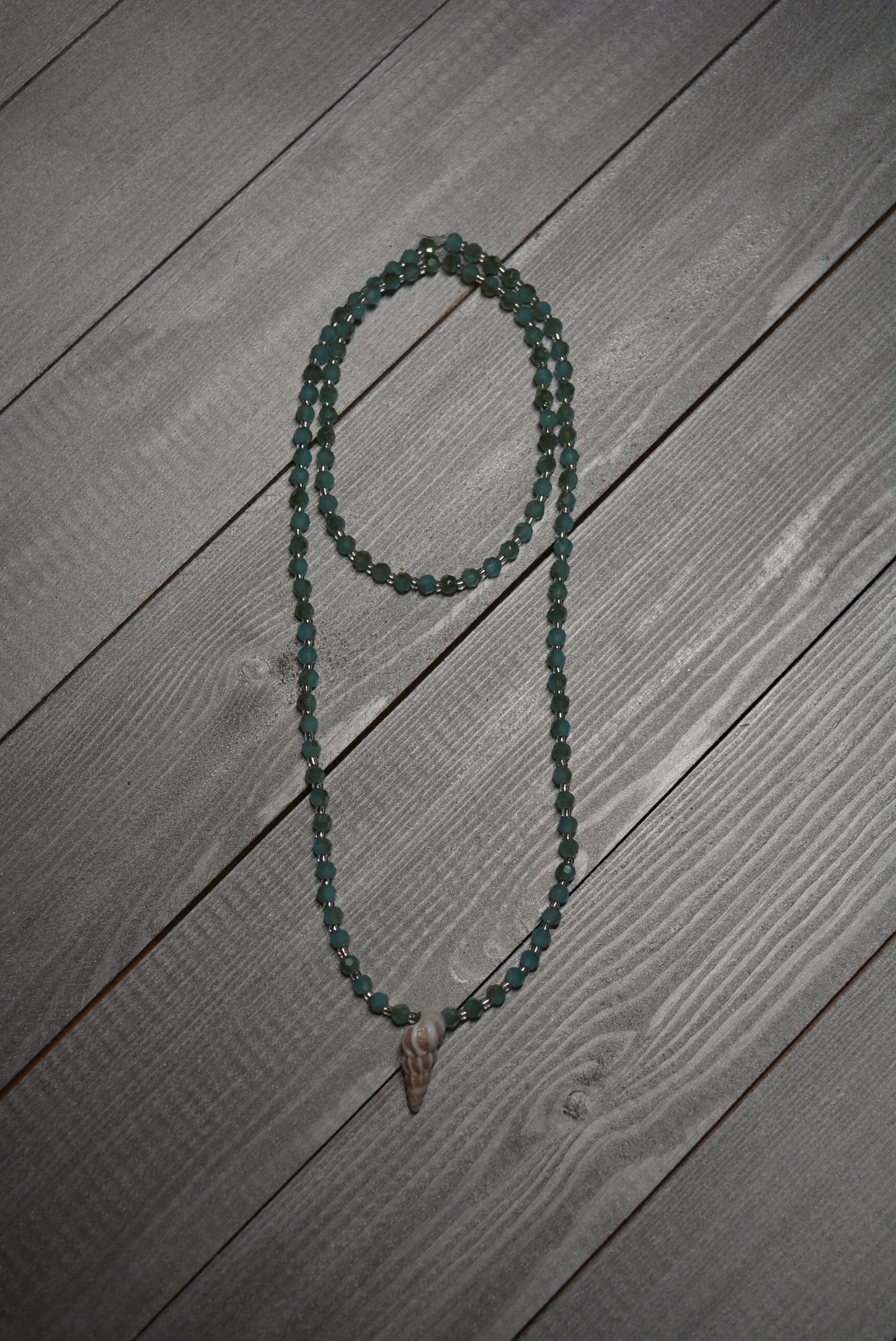Wentletrap Collection