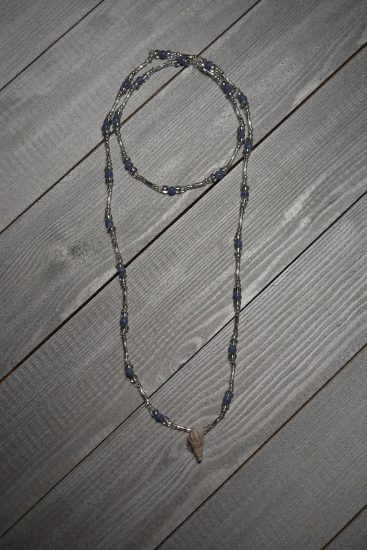Wentletrap Collection