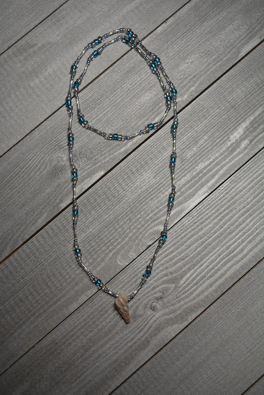 Wentletrap Collection
